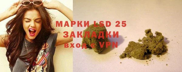 стаф Алексин