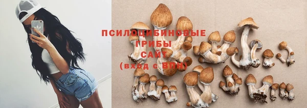 стаф Алексин