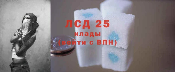 стаф Алексин