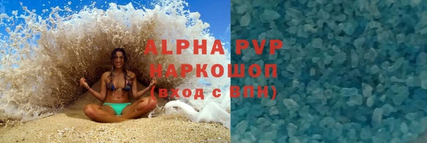 стаф Алексин