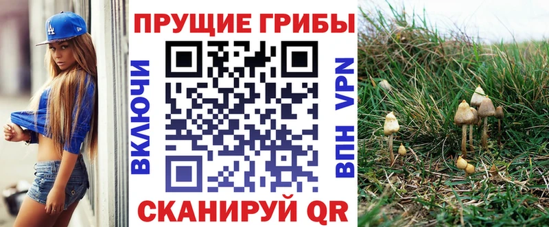MEGA ССЫЛКА  Кирс  Галлюциногенные грибы MAGIC MUSHROOMS 